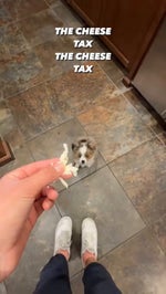 cheese tax