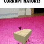 Corrupt Nature!