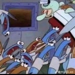 finest establishment