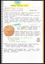 pulya duro sthyik maladeyts - Sound