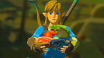 Zelda - BOTW : Cooking Success