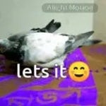 pigeon ai