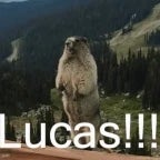 LUCAS!!!!!!!