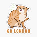 Cat Go London
