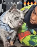 HellNah Dog