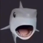 Pabebe shark meme