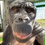 Heavy Footstep Sound Effect HD HQ