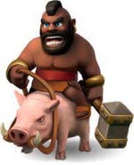 HOG RIDER
