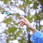 JVKE - Miss The Rage (Violin Cover) [Full Version]