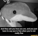 they ask you how you are