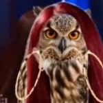 oh who is you (owl version) not loud