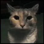 ultrakill cerberus before fight song