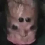 Ai, eu to subindo pelas parede do quarto 👄🕷️🕸️