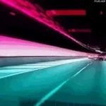 Flesh Tunnels D - Standard