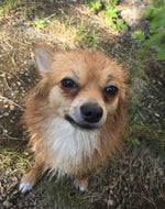 OHHHH! Sound Effect - Sound