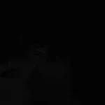 Recording 02/06/26 23:13:38 (copy)