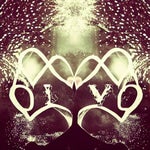 we live we love we lie