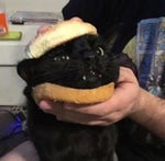 im looking for a new book boyfriend