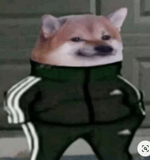 Dorian Popa hatz alarma