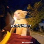 Duke Nukem Meme Theme