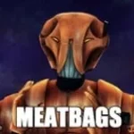 Meat Bags
