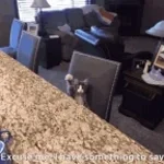 Recording 02/26/26 03:41:54 (copy)