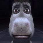 Stop the cap MEME SOUND EFFECT