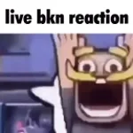 clash royale knight emote spam