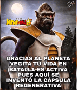 EMPIECEN A RESPETAR MÁS A VEGITA POR FAVO