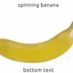 Banana gets Cloacisis