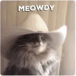 Howdy