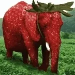 strawberry-elephant-spawn-troll