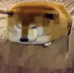 I can't hold it in anymore I just wanna