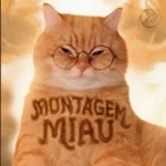 Montagem Miau - Zectal