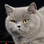 that was a close one