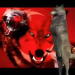 Arkadaş! Ben Türk milliyetçisiyim #shorts