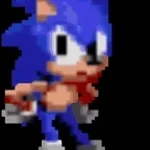 Ring walk emote sonic