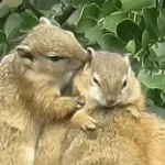 I used to get bullied sound effect 3