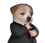 risa de bebe meme - Sound