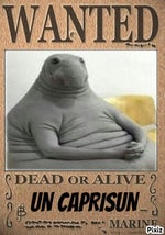 RENOI SANS EAU LOGOBI PIGNOUF[ConConverter - Sound