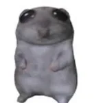He pooped he peed
