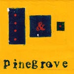 Need 2 - Pinegrove