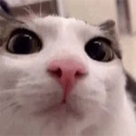 igor's theme outro loop