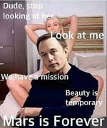 Hamood's Hamood Habibi Official Lyrics - Sound