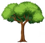 Bla Bla Bla 1709905372 musicaldown