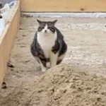 bro se croit dans un edit