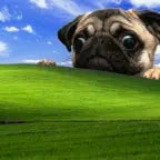 WHOPER PIXEL - Sound