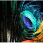 Hindi Meme-Music Meme Template Pankaj Tripathi Music Full HD