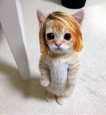 CAASPP Piano sound test