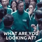 what are you looking at?